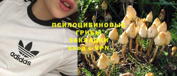 а пвп мука Аркадак