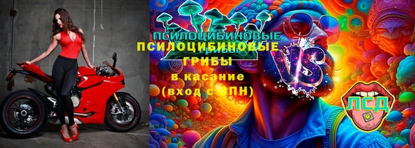 прущая мука Арсеньев