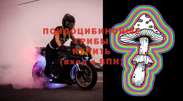 кокс Алзамай